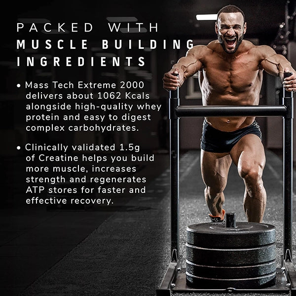 MuscleTech Mass Tech, 3kg