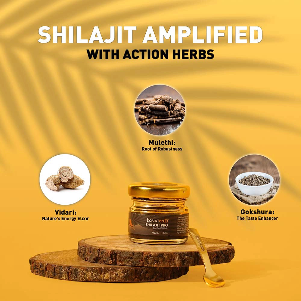 Shilajit Pro