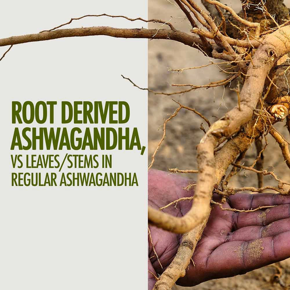 Kapiva Ashwagandha Gold