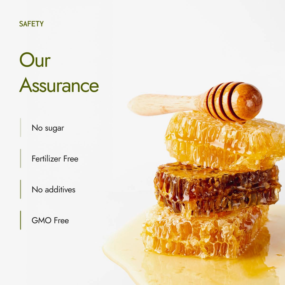 Kapiva Organic Honey 500gm