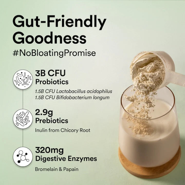 Vegan Protein - French Vanilla Caramel