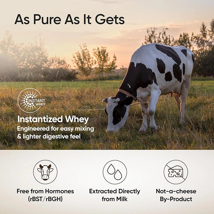 WellbeingNutrition Whey Protein Raw Concentrate, 1kg