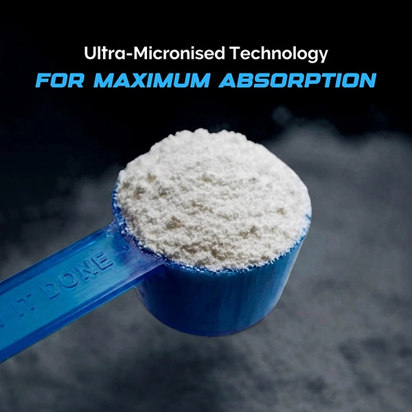 Wellcore Creatine, 310g