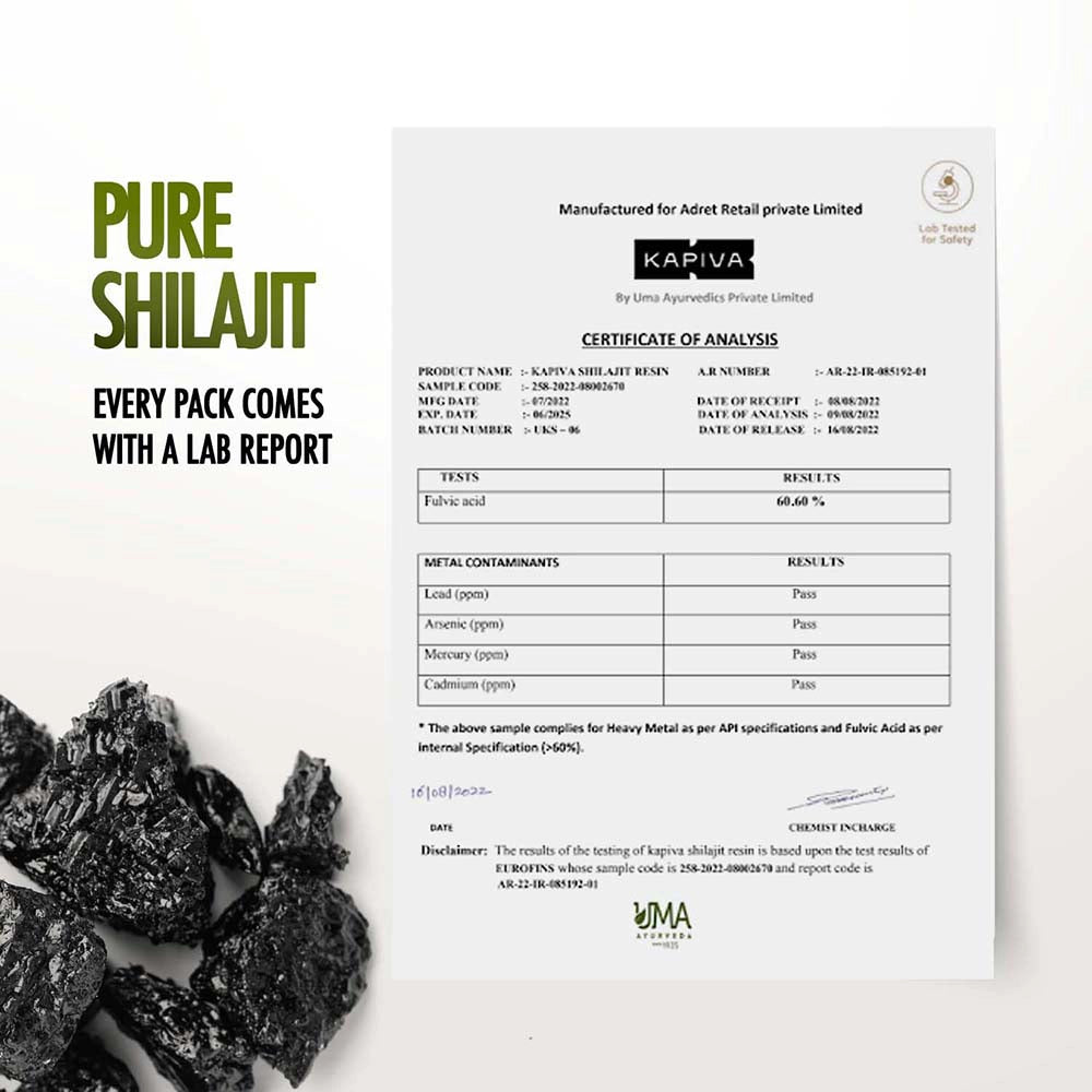Kavipa Himalayan Shilajit Resin