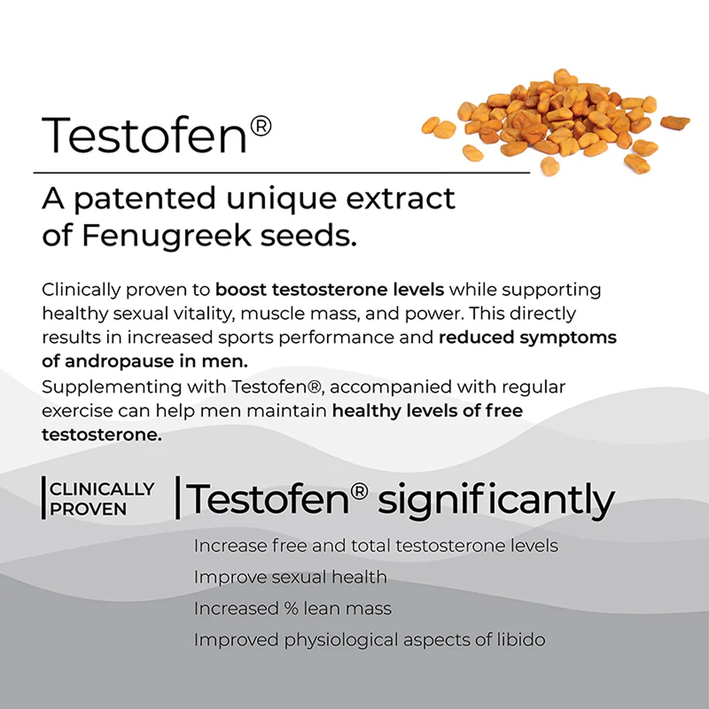 Testo Power (Melts)